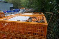 10 PLASTIC POULTRY/GAMEBIRD CRATES - 2