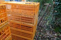 10 PLASTIC POULTRY/GAMEBIRD CRATES - 3