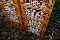 10 PLASTIC POULTRY/GAMEBIRD CRATES - 4