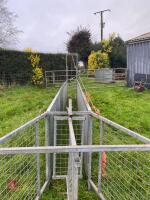 SHEEP RACE C/W DIVIDING GATE - 7