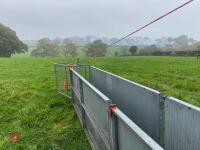 SHEEP RACE C/W DIVIDING GATE - 8