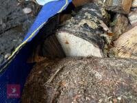 DUMPY BAG OF LOGS C/W KINDLING (4) - 3