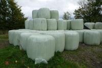 50 ROUND BALES OF 2022 HAYLAGE - 3