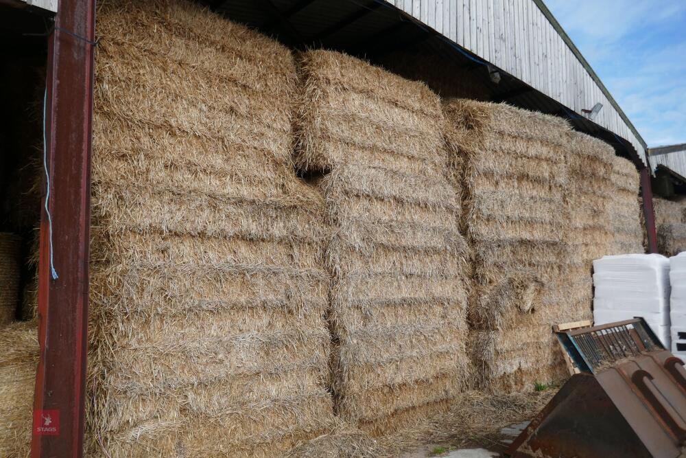 30 QUADRANT BALES OF 2021 WHEAT STRAW