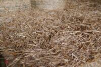 40 ROUND BALES OF 2021 WHEAT STRAW - 2