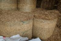 40 ROUND BALES OF 2021 WHEAT STRAW - 3