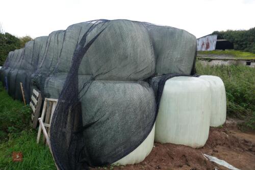 90 ROUND BALES OF 2021 HAYLAGE