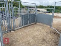 BATEMAN SHEEP/ALPACA HANDLING SYSTEM - 4