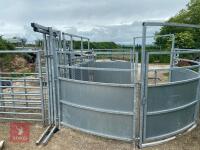 BATEMAN SHEEP/ALPACA HANDLING SYSTEM - 5