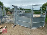 BATEMAN SHEEP/ALPACA HANDLING SYSTEM - 6