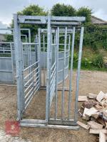 BATEMAN SHEEP/ALPACA HANDLING SYSTEM - 8