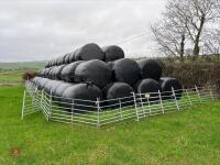 108 ROUND BALES OF SILAGE - 2