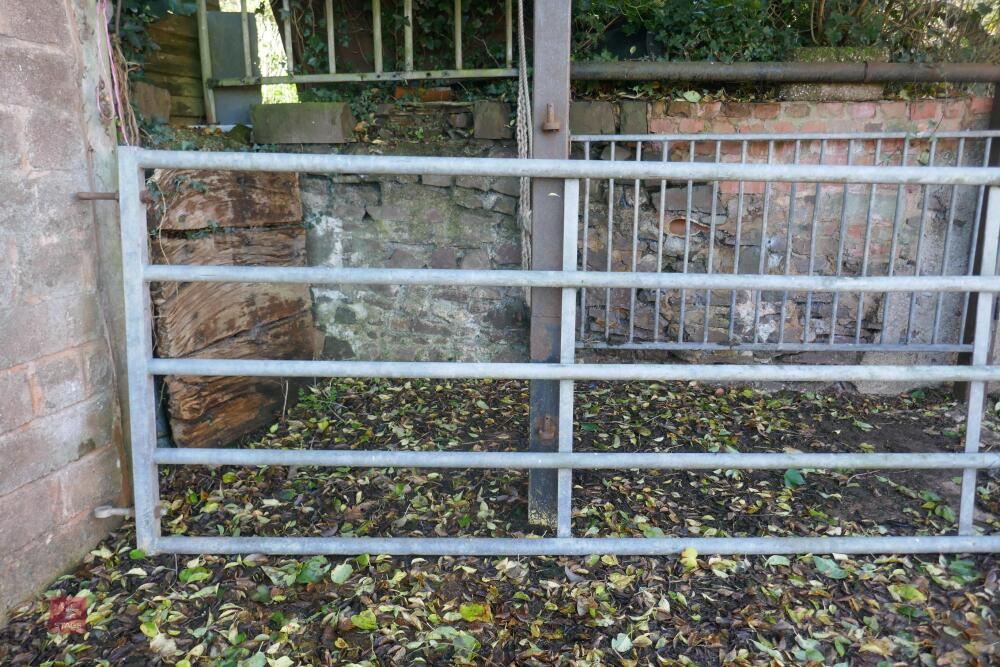 12FT GALVANISED YARD GATE