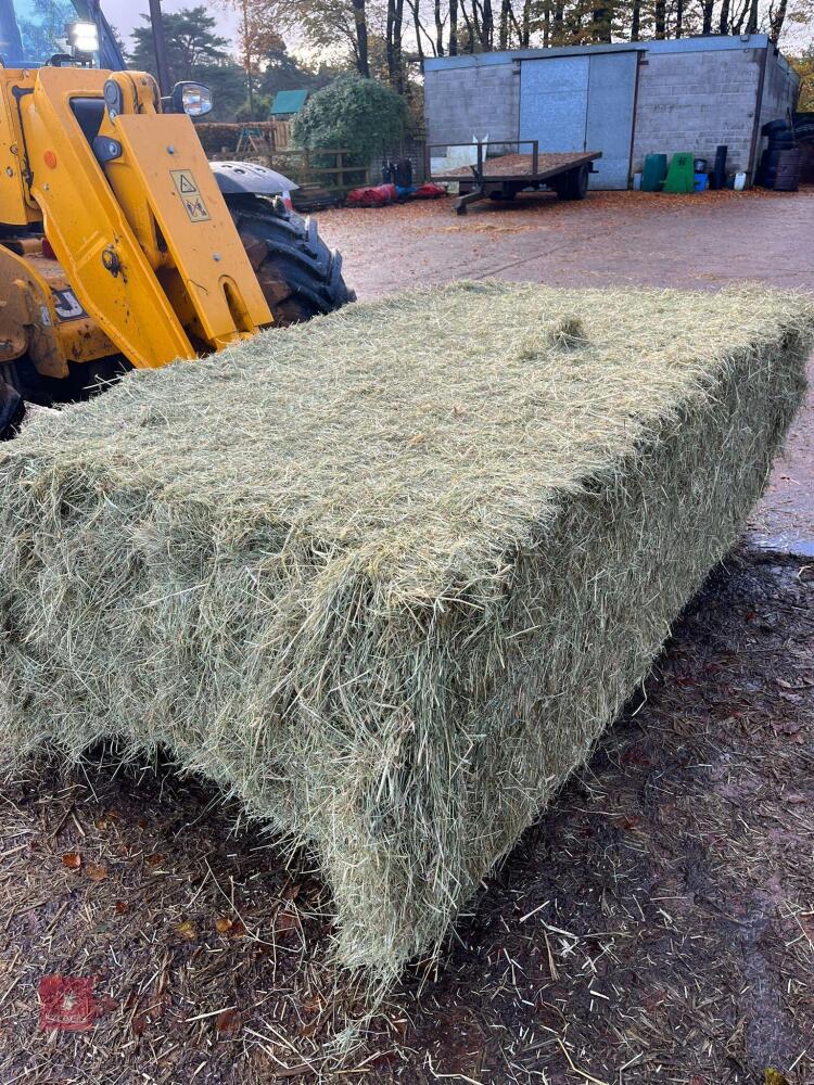 20X QUADRENT HAY BALES (BIDS PER BALE)