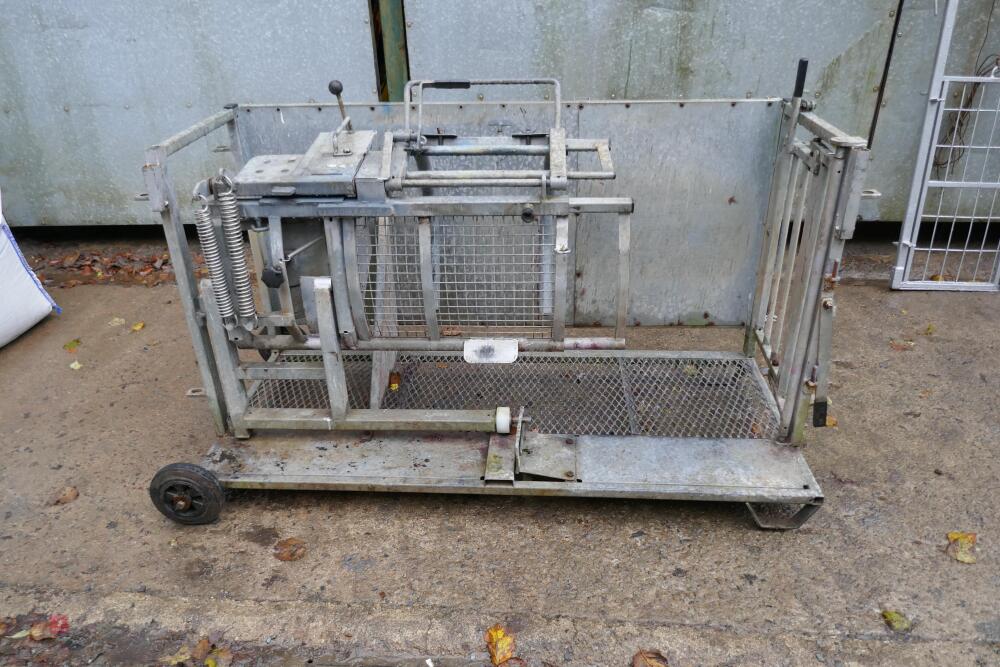 BATEMAN SHEEPVET GALV ROLLER CRATE