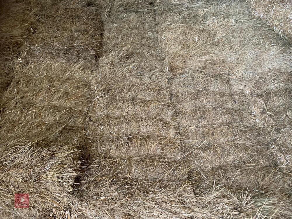 68 X ORGANIC CERTIFICATED MEADOW HAY