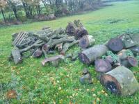 SELECTION OF UNPROCESSED TIMBER - 7