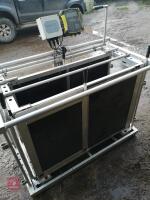 WEIGH CRATE WITH EID - 2