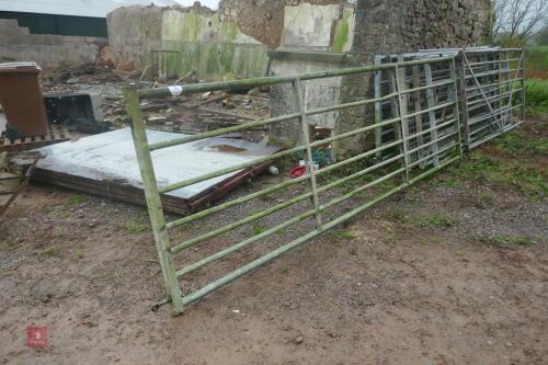 12FT GALV GATE (31)