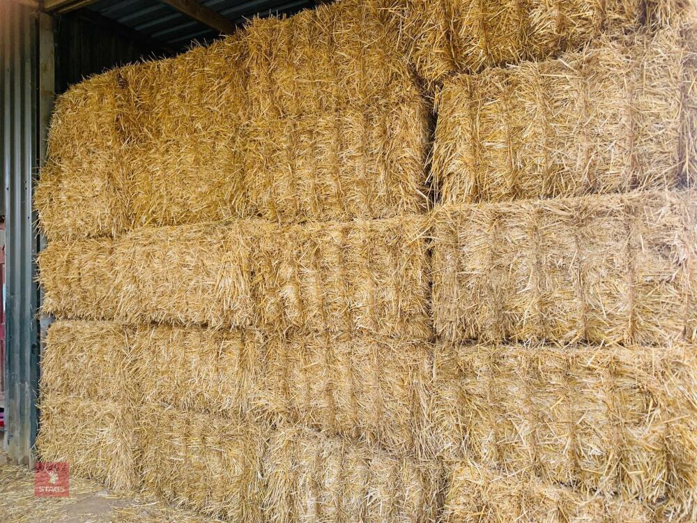 80x STRAW BALES BIDS PER BALE