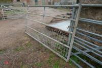 8FT GALV GATE (37) - 8