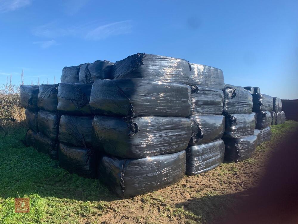 80x SILAGE BALES BIDS PER BALE