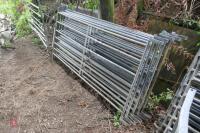 7 X 6FT GALV SHEEP HURDLES - 4