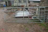 10FT GALV GATE (36)