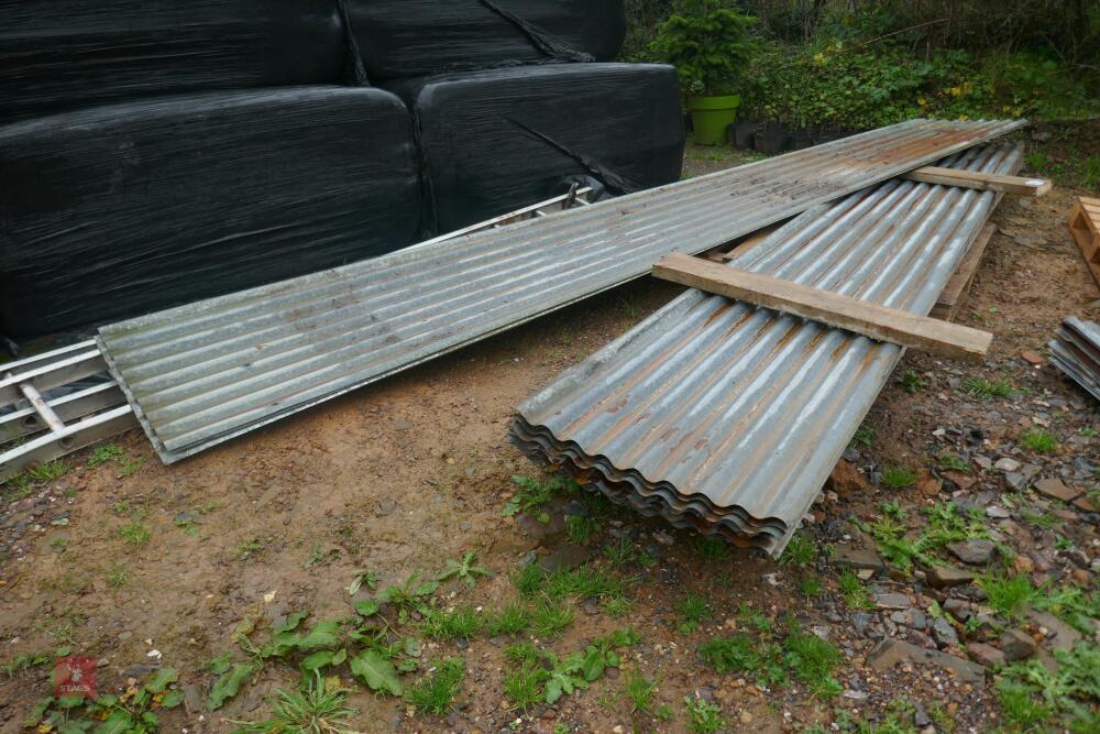 21 MIXED CORRUGATED TIN SHEETS (24)