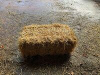 5X 21 BALE STRAW BARONS (105 Conv Bale Total) - 4