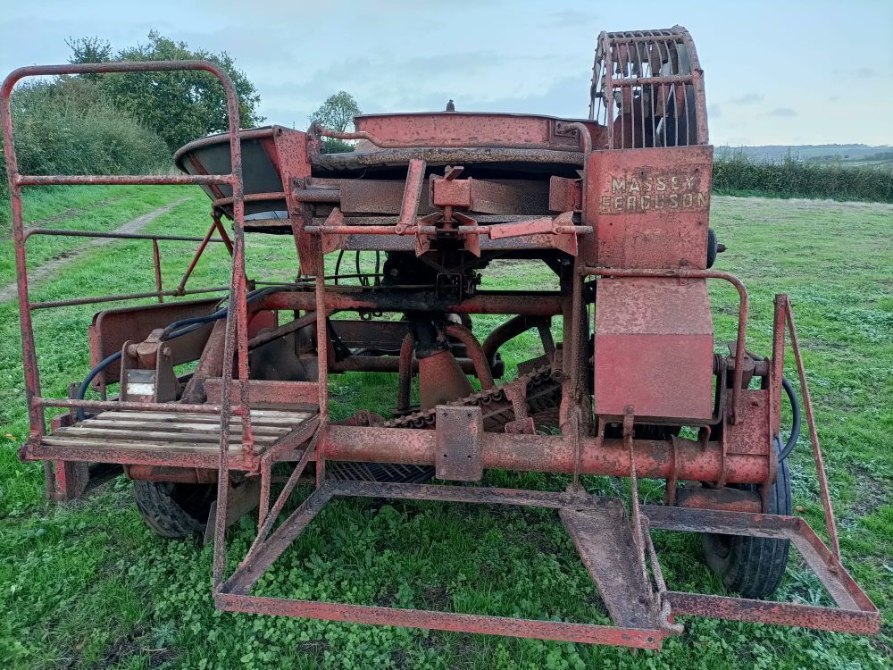 MASSEY FURGUSON POTATO HARVESTER