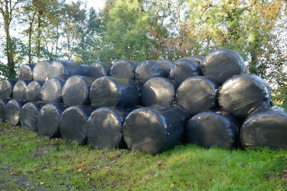 75X BALES OF SILAGE (BIDS PER BALE)