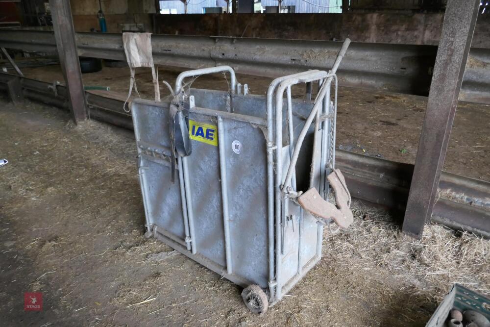 IAE CALF DE-HORNING CRATE