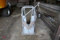 IAE CALF DE-HORNING CRATE - 2