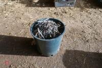 BUCKET OF NAILS - 3