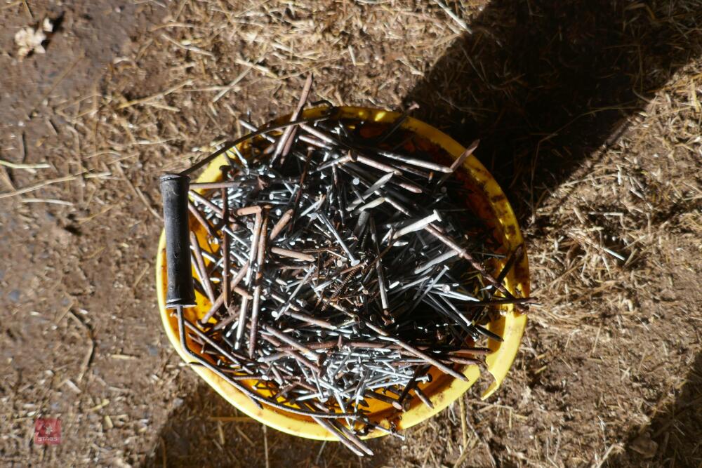 BUCKET OF NAILS