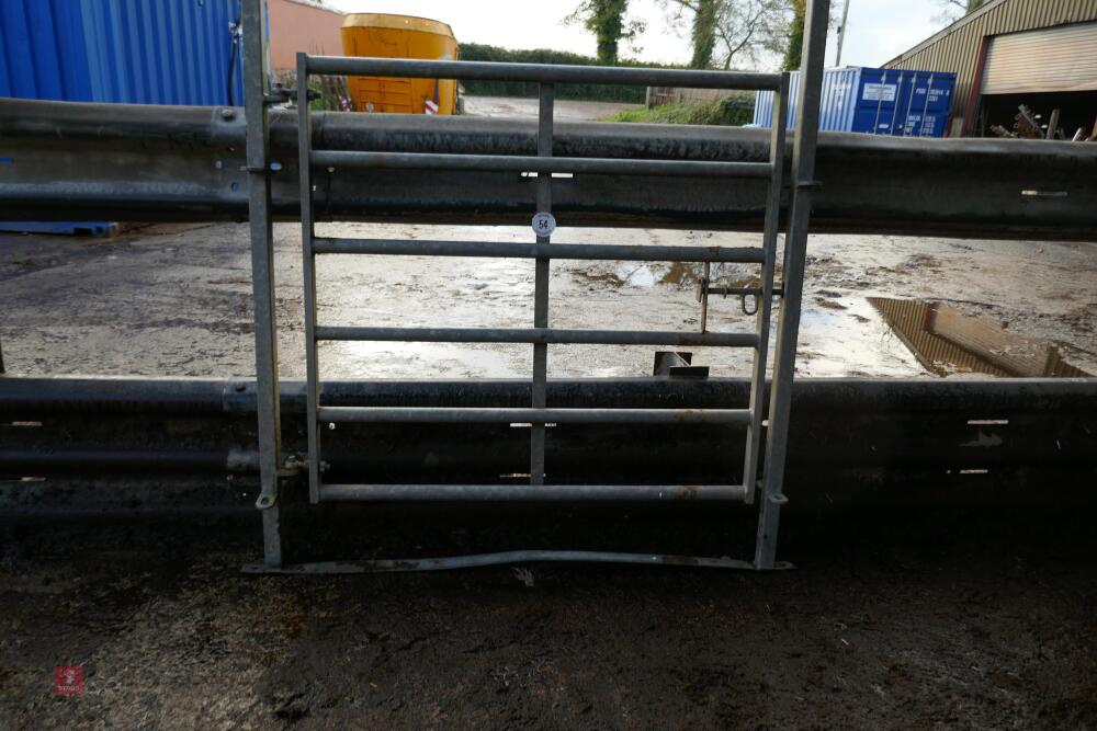 CATTLE HANDLING SYSTEM 5' GATE