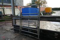 CATTLE HANDLING SYSTEM 5' GATE - 2