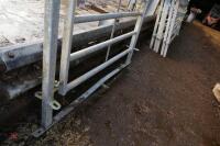 CATTLE HANDLING SYSTEM 5' GATE - 6