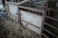 NUGENT GALVANISED CATTLE CRUSH - 2