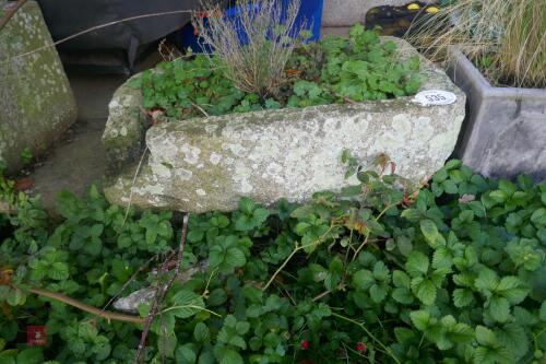 30" X 21" X 10" SMALL GRANITE TROUGH