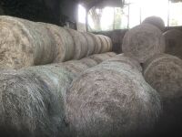 48 2022 ROUND BALES OF HAY