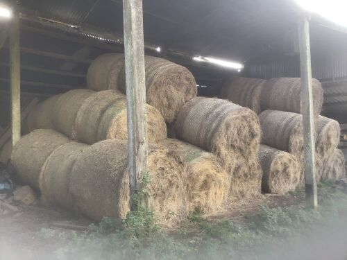 60 2021 ROUND BALES OF HAY