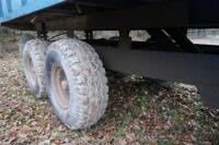 TWIN AXLE GRAIN TRAILER(F) - 12