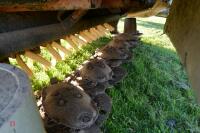 KUHN FC280 FRONT MOWER CONDITIONER(S/R)(F) - 8