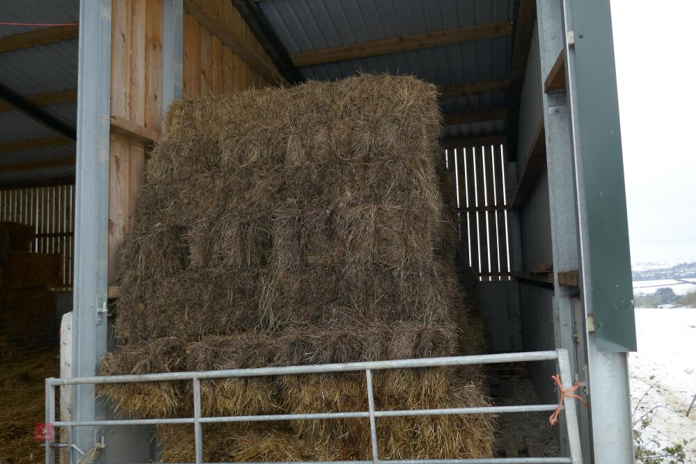 APPROX 200 BALES OF CONVENTIONAL HAY