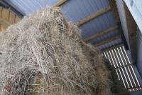 APPROX 200 BALES OF CONVENTIONAL HAY - 3