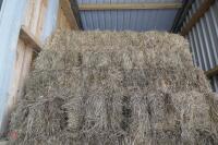 APPROX 200 BALES OF CONVENTIONAL HAY - 4