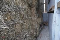 APPROX 200 BALES OF CONVENTIONAL HAY - 6