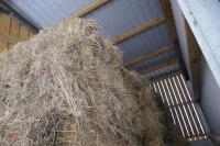 APPROX 200 BALES OF CONVENTIONAL HAY - 7